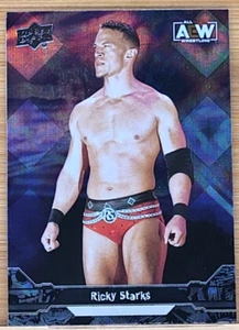 2023 UPPER DECK AEW RICKY STARKS DIAMOND PLATE Ricky Saints WWE WWF - Picture 1 of 2