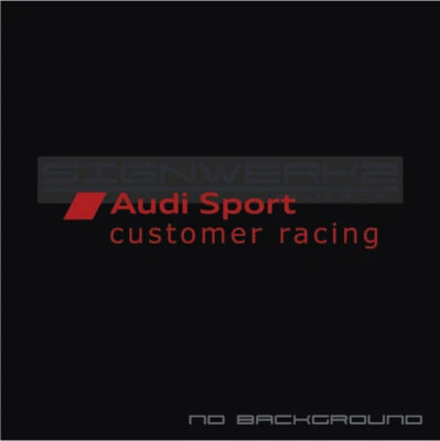 Audi Sport Customer Racing Decal RS5 A4 S4 S3 S5 TT TTRS RS3 New Pair - Изображение 1 из 4