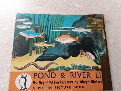 1941 Penguin Puffin  PICTURE Book POND & RIVER LIFE Richards  #9 - Image 1 of 4