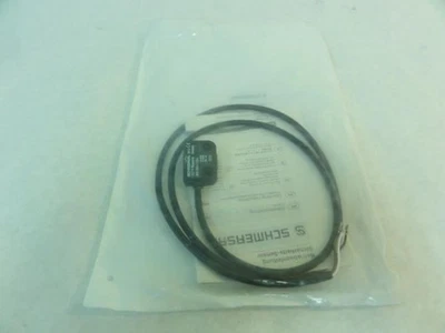 210036 Nuevo-Sin Caja; Sensor de Seguridad Imán Codificado Schmersal 101184391 Foto 1 de 4