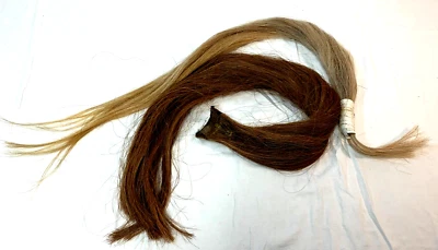 Set of Two (2) HORSE TAIL EXTENSIONS ~ Total Weight 430g ~ Blonde & Sorrel - Image 1 of 4