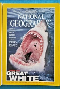 National Geographic Magazine April 2000 Inside the Great White, Deep Trouble - Imagen 1 de 4