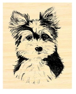 P31 Yorkshire terrier puppy dog rubber stamp WM 2x2.25" - Picture 1 of 2