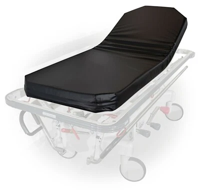 Almofada maca universal ASP ECONOMY 76" X 30" X 3" - Imagem 1 de 4