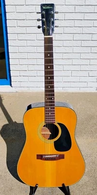 Guitarra Acústica Ventura 6 Cuerdas Modelo V-6 ¡con SSC! -LL Foto 1 de 4