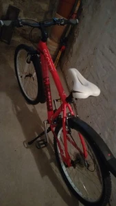 Damenfahrrad 26er Von Scott - Bild 1 von 6