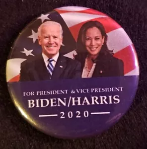 Biden Harris Presidential Campaign Pin 2020 - "Biden/Harris 2020" - Bild 1 von 1