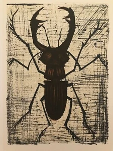 Bernard BUFFET Color Lithograph "The Stag Beetle" , Original Mourlot Print,1967 - Picture 1 of 2