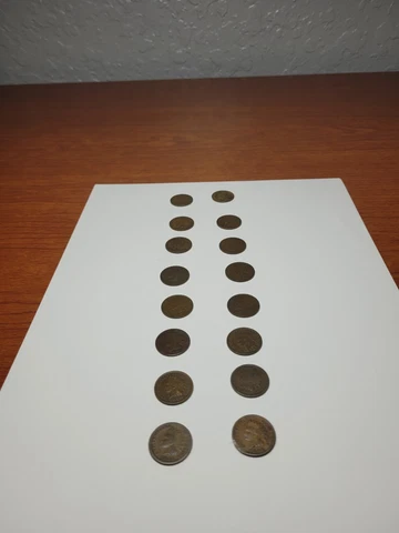 Indian Head Pennies. Lot of 16 Cover