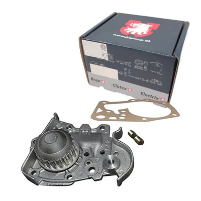 JP GROUP POMPE À EAU Avec Joint Compatible Avec DACIA LOGAN SANDERO RENAULT CLIO - Photo 1/2