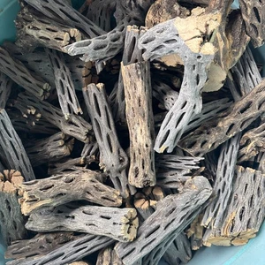 3+ LBS Cholla Wood Cuts Bits Pieces Great for Aquariums Terrariums Fish Tank - Picture 1 of 3