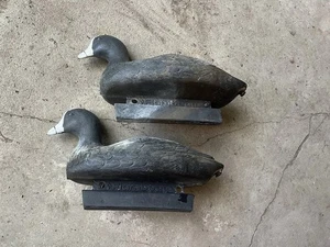 Two Vintage Duck Decoys, Don’t Know The Actual Names Of The Breeds. - Picture 1 of 5