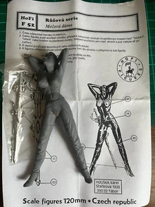 HOFI Miniatures - Fantasy Female Warrior - 120mm scale resin - Picture 1 of 1