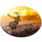 Round Mouse Mat - Winter Deer Stag Snow Scotland Office Gift #8110