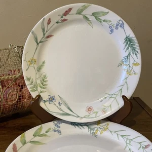 2x Corelle MY GARDEN DINNER 10.25" PLATES - Picture 1 of 5