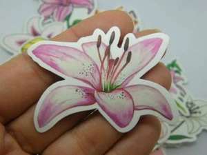 50 Lilie Blumen Motto Aufkleber zufällig gemischt Papier 366 - Bild 1 von 2
