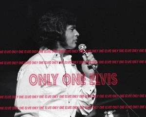 1971 Singer ENGELBERT HUMPERDINCK - Opening Night - ARIE CROWN THEATER Photo 018 - Picture 1 of 1