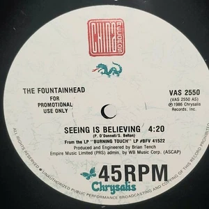 THE FOUNTAINHEAD Seeing Is Believing 12" Promo VG+ 1986 Chrysalis Vinyl VAS2550 - Picture 1 of 2