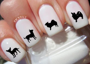 Chihuahua Nail Art Aufkleber Transfers Aufkleber 38er Set - A1204 - Bild 1 von 2