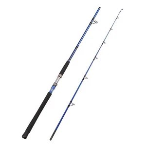 Fiblink 2-Piece Saltwater Spinning Fishing Rod Offshore Graphite Portable - Picture 1 of 7