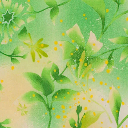 Liquen botánicos Foto 1 de 1