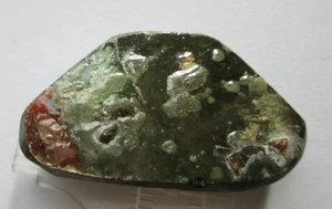 14,40 Gramm Ammonit Edelstein grob, trocken fotografiert, AFB 107 - Bild 1 von 7