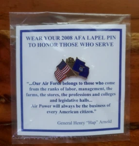 Air Force Association AFA Lapel Pin Honor Those Who Serve US Flag Etiquette 2008 - Picture 1 of 2