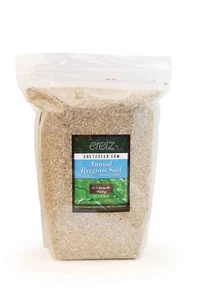 Annual RyeGrass Seed by Eretz - CHOOSE SIZE! Willamette Valley, Oregon Grown - Picture 1 of 12