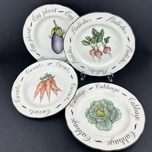 Platos Franciscanos MEDLEY VEGETAL (4) Zanahoria, Repollo, Rábano, Berenjena - Imagen 1 de 24