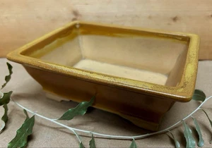 Japanese Tokoname Yellow Tea Glaze Bonsai Pot  L 7.5" From Japan - Picture 1 of 10