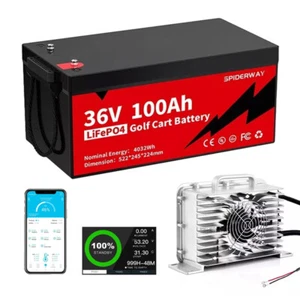36V 100Ah LiFePO4 Lithium Battery + Charger for Golf Cart Marine Solar Motorhome - Picture 1 of 12