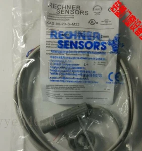 SENSOR DE PROXIMIDAD CAPACITIVO CALCULADOR KAS-80-23-S-M22 - Imagen 1 de 1