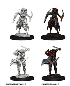 TIEFLING FEMALE ROGUE D&D Nolzur's Marvelous Miniatures Wizkids WZK73339 - Picture 1 of 4