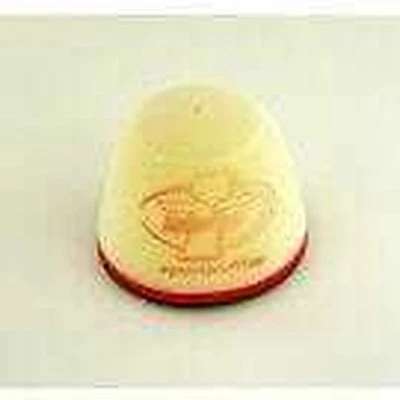 Yamaha PW 50 1991-2023 DT1 Racing Filtro Dell'Aria DT-180-01NO Foto 1 de 4