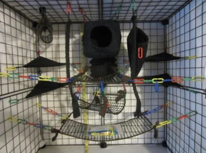 15-teiliges - Würfel braunes Netz Zuckergleiter Käfig Set | Zuckergleiter Zubehör - Bild 1 von 2