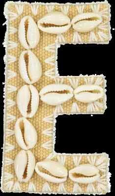 NEW Stoney Clover Lane LARGE 3.5"  E Letter Sticker PATCH Natural White SHELL s - Image 1 of 4