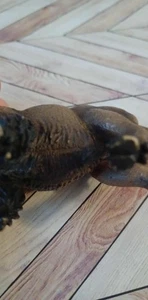 Vintage Retired Schleich 14349 American Bison 2004 Discontinued Rare - Picture 1 of 4