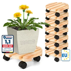 8x Pflanzenroller Rund Massivholz Ø30x8cm bis 120kg belastbar Rollbrett 4 Rollen - Bild 1 von 7