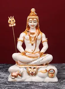 Lord Shiva Idol Hindu God Idol For Worship Multicolor Shiv Sculpture Gift Decor - Foto 1 di 4