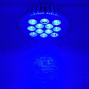 36W Royal Blue 450nm~455nm PAR38 LED Lamp Spot Light Bulb Plant Aquarium - Picture 1 of 7