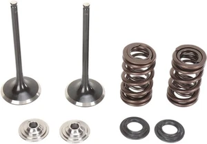 Moose Intake Valve/Spring Kit Steel fits Suzuki RM-Z250 2007-2014 - Picture 1 of 1