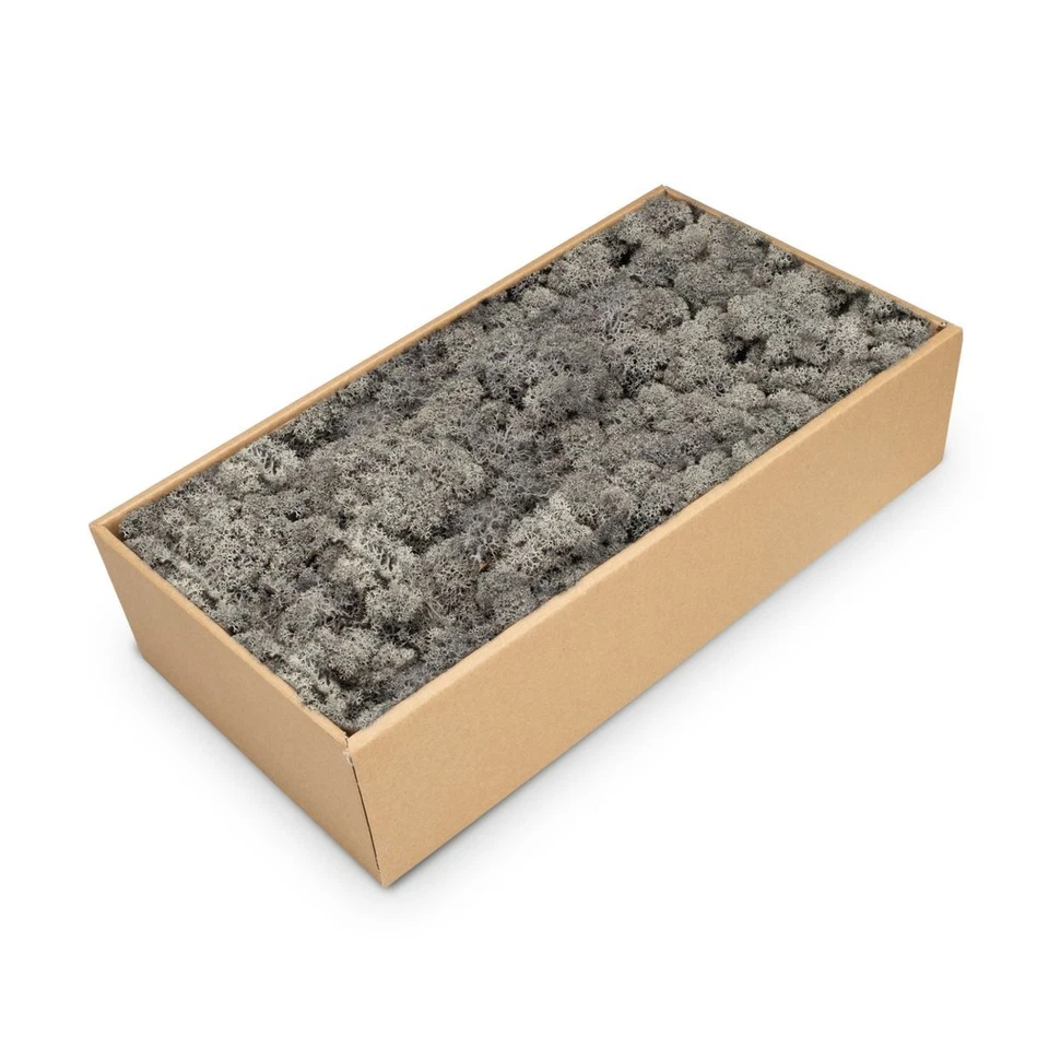 NaDeco Islandmoos anthrazit 500g | Rentier Moos | Reendier Moos | Deko Moos