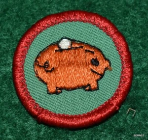 GIRL SCOUT WORLDS TO EXPLORE BADGE - HOUSEHOLD WHIZ - RED - FREE SHIPPING - Picture 1 of 2