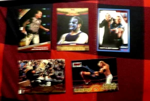 Lotto 5 carte WWF/WWE Tristar MATT/JEFF HARDY BUONE 2 RARE OTTIME CONDIZIONI - Foto 1 di 1