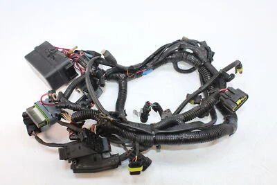 2010 Ski-Doo Grand Touring 1200 LE 4 TEC main harness   515176837 - Image 1 of 4
