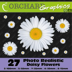 27 Daisy Flower Car Stickers Vinyl Decals Graphics Bedroom Wall Art Realistic - Picture 1 of 4