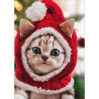 Avanti Press Gatito Usando Tejido Santa Sombrero Lindo Gato Caja de 10 Tarjetas de Navidad Foto 1 de 2