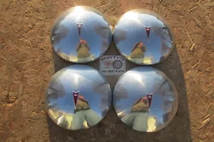 1970-79 PONTIAC FIREBIRD, LEMANS GTO TEMPEST BABY MOON DOG DISH HUBCAPS SET OF 4 - Picture 1 of 15