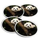 4x Runde Aufkleber 10 cm - Panda Bär Jungtier China Baby #14565