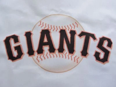 1 SAN FRANCISCO GIANTS BASEBALL MLB 18X 18 SEWING BLOCK QUILTING SQUARE FABRIC - Image 1 of 2